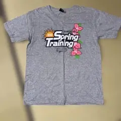 2016年春のトレーニングTシャツ 宮崎