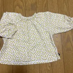 Item thumbnail for item 452abcc6-d610-4d24-97c1-22ee25a74430