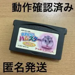 ゲームボーイアドバンス　かわいいハムスター