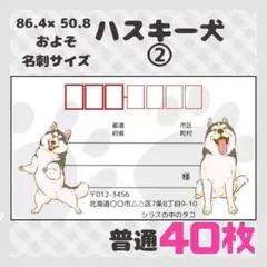 【ハスキー犬②】宛名シール　差出人シール　普通サイズ　40枚　シンプル　動物　犬