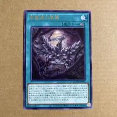 遊戯王OCG 黒薔薇の華園 レア R