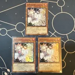 2025年最新】遊戯王 灰流うらら MACR-JP036の人気アイテム