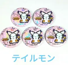 デジモン 20周年 缶バッジ デジモンアドベンチャー 八神ヒカリ テイルモン
