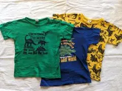 Item thumbnail for item 562a4fd5-3211-40a5-8efc-77dbc4d3bc6c