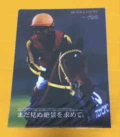JRAヒーロー列伝クリアファイル No.69 ブエナビスタ