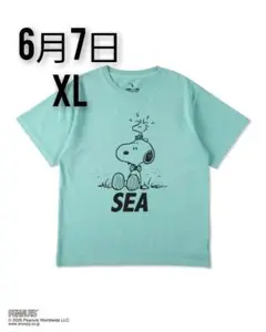 SMOOTHY x WDS PGT Snoopy Tee
