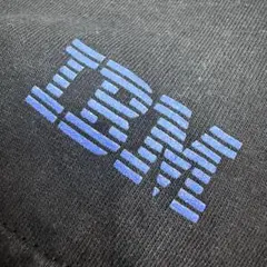 00's Y2K IBM イベント 企業系 ギルダンボディ　当時物　Tシャツ