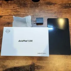 Avidpad S30 SIMフリー Android15バージョン【最新版】