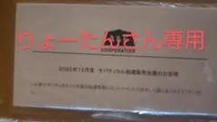 新品未開封 サバティカル スカイパイロットTC ベージュ
