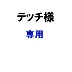 テッチ様専用