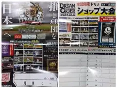 【DREAM ORDER】ドリームオーダー　ポスターセット