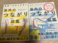 筋肉のつながり図鑑