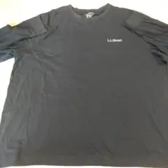 最終値下げ！L.L.Bean トラディショナルフィット Tシャツ ネイビー