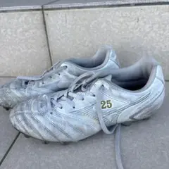 Mizuno モナルシーダ シルバー　22.5cm
