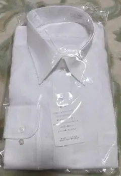 Item thumbnail for item 9dde89ef-c742-44ba-8589-ab4133d88701