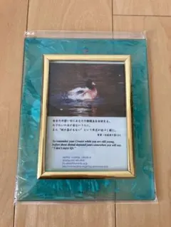 壁掛け フォトフレーム