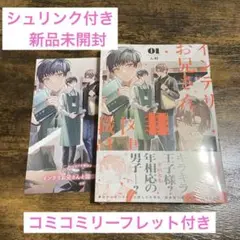 【新品未開封】インテリお兄さんと図書館職(1) ん村　コミコミリーフレット付き
