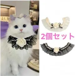 Item thumbnail for item 002e9890-1e2f-4a31-9982-b67ef5adf80d