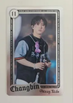 straykids ランダムライブフォトカード チャンビン