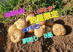長崎県産 じゃがいもB品 にしゆたか 箱込み20キロ