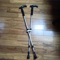 Item thumbnail for item 68547289-877b-4da1-b1ca-5a1c45acab65
