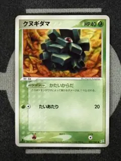 【10点2500円引き】クヌギダマ