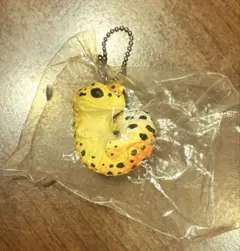 Item thumbnail for item fda0e51f-4b88-4bef-945d-29162f2daa5e