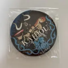 ONE PIECE 輩缶バッジ　WORLD