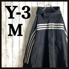 Item thumbnail for item 63e0daeb-a842-41bc-b168-ee9a4ef37fce