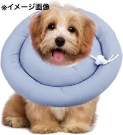 Item thumbnail for item d8803c95-fb51-4b60-8052-ed8e6a27e73d
