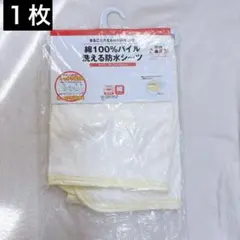 Item thumbnail for item 7f9794df-af11-4c12-a146-0cd6d186b7d2