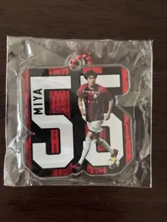 Item thumbnail for item 72f5c751-1ee1-452e-a713-a75abe49eb32