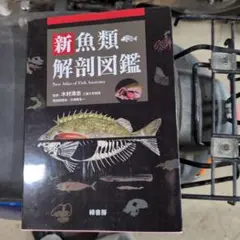 魚類解剖図鑑 魚類解剖図鑑(落合明編) / 草木古書店 / 古本、中古本、古書籍の