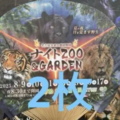 東山動植物園2025年ナイトZOOの竹うちわ　2個