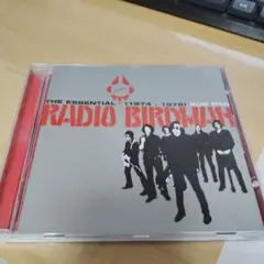 RADIO BIRDMAN: THE ESSENTIAL (1974-1978)