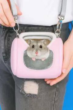 Item thumbnail for item 862bc96d-a41a-4461-8ff3-5313d0f82c5a