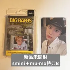 WayV BIG BANDS mumo トレカ smini 新品未開封 テン