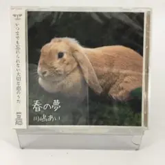 邦楽CDシングル　川嶋あい　春の夢＜通常盤＞〈セル盤〉《新品•未開封》　SCDか