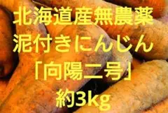 北海道産無農薬泥付きにんじん「向陽二号」約3kg