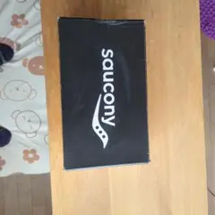 Saucony Endorphin Shift USA 9.5