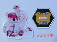 楽天イーグルス Eコレ イーグルスベア アクスタ 奇数71柴田大地投手