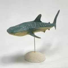 貴重 ARTPLA 海洋堂 アクアランド バショウカジキ 2025年最新】海洋堂 アクアランドの人気アイテム - メルカリ