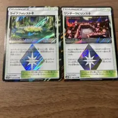 ライフフォレスト & ワンダーラビリンス セット
