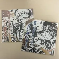 ワンピース 色紙2枚セット バラ売り不可