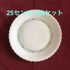 リモージュ　ジョルジュボワイエ　大皿 25cm 6枚セット
