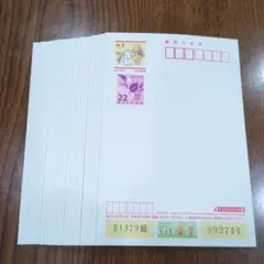 はがき　新品未使用　30枚