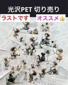 【fo-22】光沢PET 切売り《ダンデライオン》forest14foru