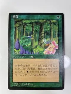 繁茂　日本語版