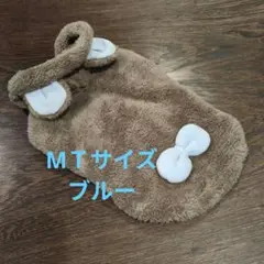 Item thumbnail for item f016c0de-9a81-4bc8-bb65-9655149e6a5f