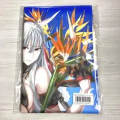 【本庄雷太展】戦場のヴァルキュリア ライクトロンバスタオル セルベリア 水着 本庄雷太展】戦場のヴァルキュリア B1タペストリー【再販